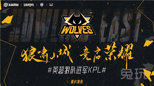 功能型到